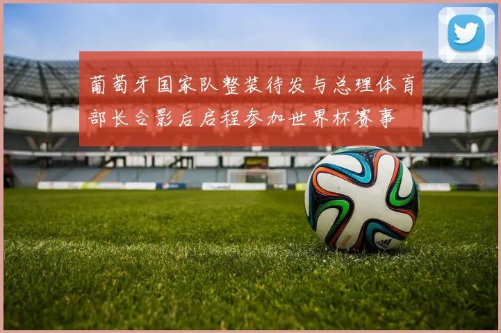 葡萄牙国家队整装待发与总理体育部长合影后启程参加世界杯赛事